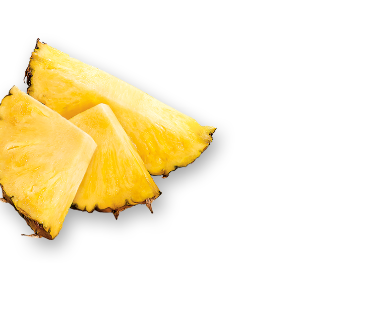 250216_All_Decorative_Elements_Left-Ananas-01.png